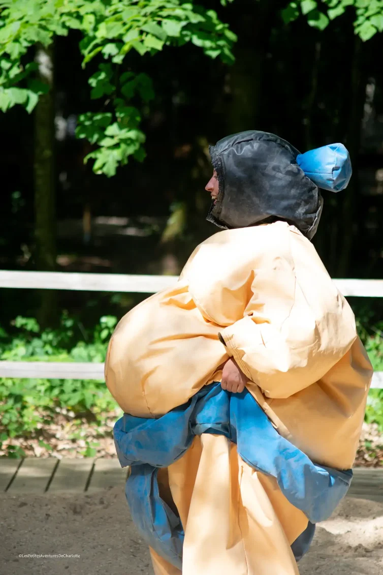 parc-evasion-parc-de-loisir-a-curley-bourgogne-sumo-photo-2