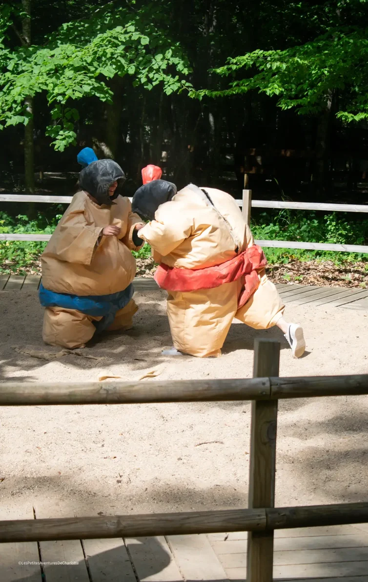 parc-evasion-parc-de-loisir-a-curley-bourgogne-sumo-photo-3