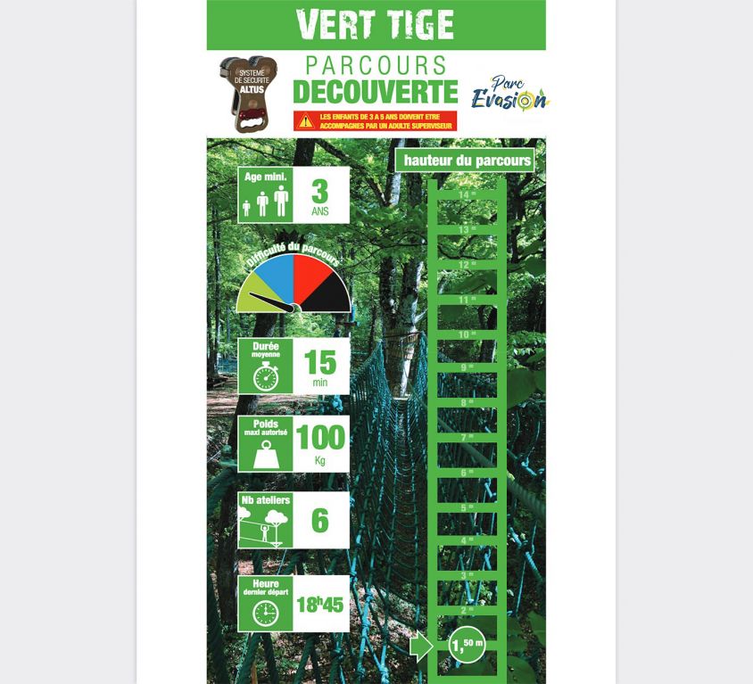 Découverte Vert Tige
