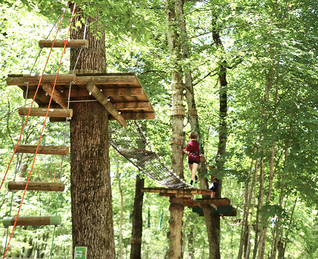 accrobranche-dijon-en-foret-avec-des-parcours-pour-enfants-et-famille-parc-de-loisirs-entre-dijon-et-beaune